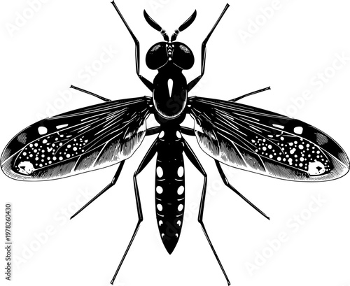 A symmetrical long-legged fly with bold solid black shapes stands on a pristine white background in this minimalist flat vector art piece, showcasing flawless sharp edges and high contrast monochrome