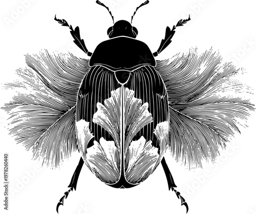 A symmetrical leaf beetle with delicate textures, solid black shape, perfect crisp contours, pure white background, minimalist vector art, stencil design, flawless sharp edges for auto tracing, high