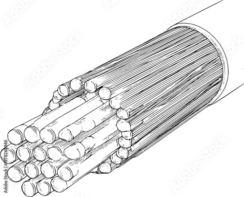 A detailed structural diagram of a fiber optic cable cross section features bold black outlines against a pure white background, emphasizing high contrast monochrome style with clear boundaries for