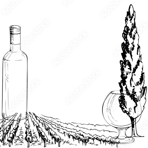 Vineyard frame with agricultural vine rows, bottle and balloon glass, poplar or cypress tree silhouette, copy space. Isolated ink vector illustration hand drawn for menu covers, certificates, signage.