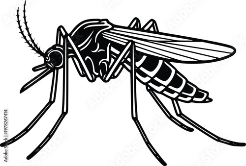 Hand Drawn Mosquito Vector Illustration Black and White Insect Line Art