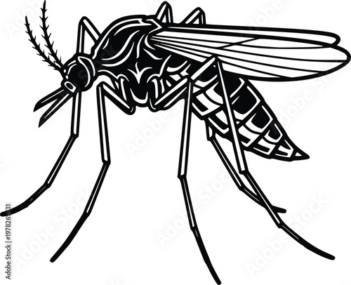 Hand Drawn Mosquito Vector Black and White Insect Line Art Detailed Side View