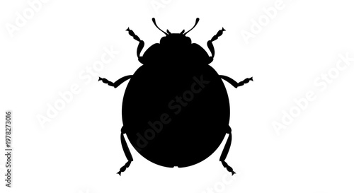 A dark striking silhouette of a beetle seen from above silhouette