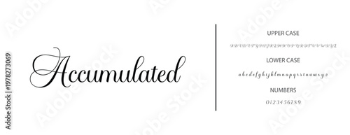 signature Font Calligraphy Logotype Script Brush Font Type Font lettering handwritten. vector illustration
