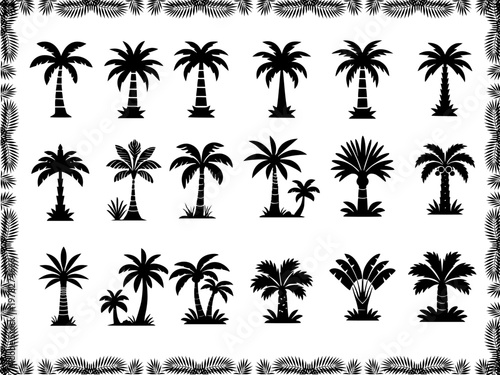 Set of palm silhouettes. Tropical tree vector icons. Black palm tree collection. Summer exotic plant symbols. Isolated island nature elements.