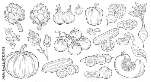 Comprehensive collection of hand drawn vegetable sketches including pumpkin, artichoke, onion, pepper, tomato, and cucumber for food design.