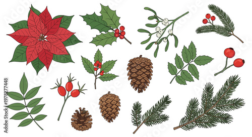 Collection of winter botanical elements features a red poinsettia, holly leaves with berries, mistletoe, pine cones, and evergreen branches.