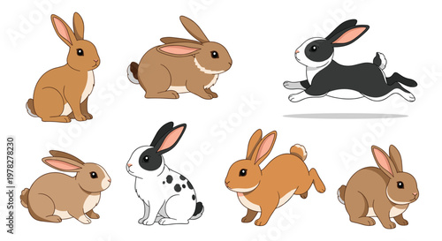 Set of cute cartoon rabbits in various poses including sitting and running with different fur colors and patterns like spots.