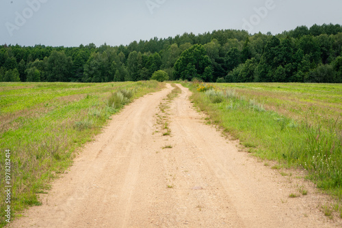 Sandy Country Road Through Green Fields Leading To Forest Line