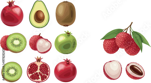 Tropical fruit vector illustration set including pomegranate avocado kiwi lychee and coconut, fresh exotic food collection isolated on white background