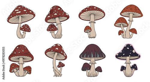Set of eight detailed mushroom illustrations featuring various types of fly agaric and forest fungi with red and brown caps.