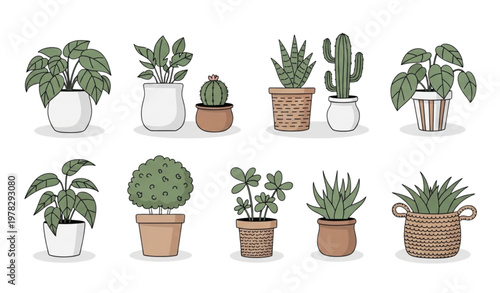 Minimalistic potted house plants vector set in doodle style isolated on white