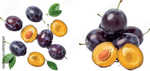 Plum fruit collection with whole and sliced juicy pieces, fresh organic summer food vector illustration set isolated background