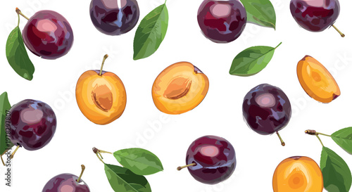 Plum fruit vector set featuring whole plums, halves and slices with leaves isolated fresh organic food illustration collection