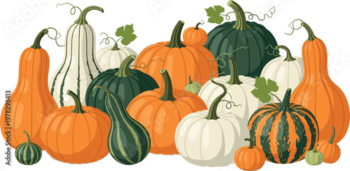 Pumpkin and squash collection with various shapes and colors, autumn harvest vegetables vector illustration set isolated background