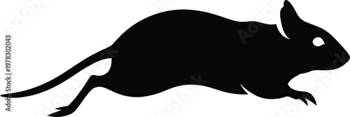 Silhouette illustration of a running mouse in dynamic motion vector illustration