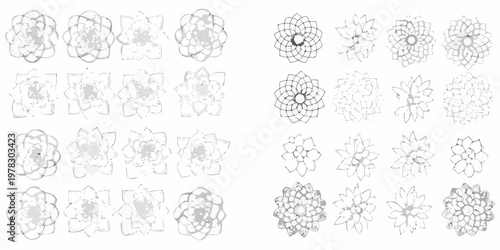 Collection of sketched floral designs and botanical illustrations in grayscale