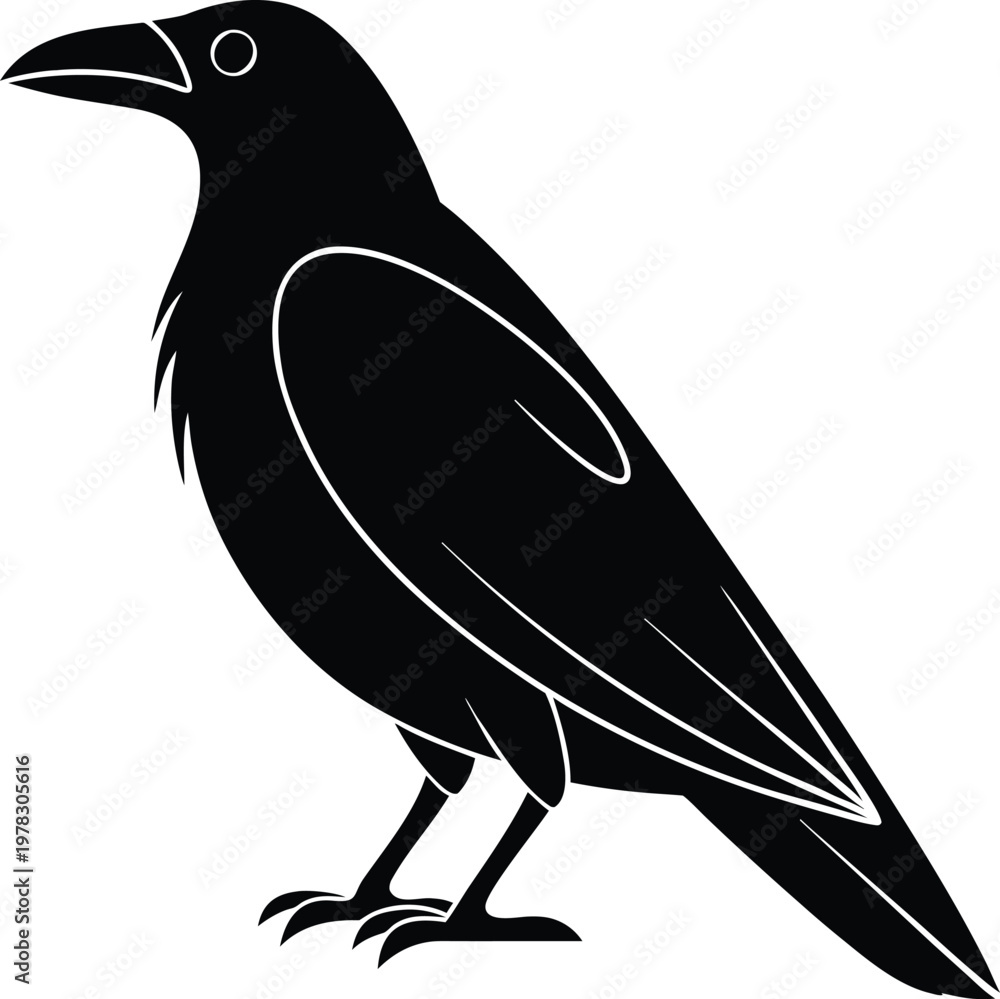 Obraz premium crow on white background