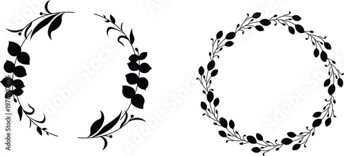 Close-up of three different types of plant leaves showing detailed venation