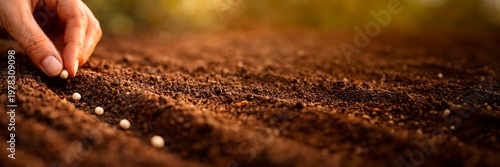 Hand sowing seeds in soil in wide banner composition with copy space, agriculture and farming concept.