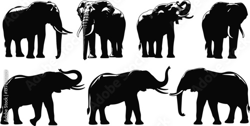Collection of black elephant silhouettes in various poses including walking standing and raising trunks isolated on a plain white background for wildlife design