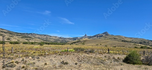 Wide green valley near Lanín Volcano with trees and mountains in Patagonia.