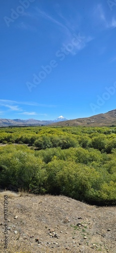 Snow-capped Lanín Volcano under clear blue sky on a sunny day in Patagonia, Argentina.