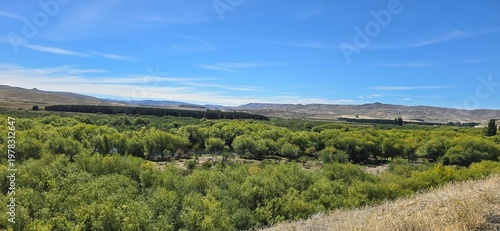 Wide green valley near Lanín Volcano with trees and mountains in Patagonia.