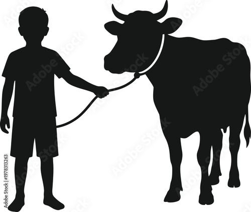 Young boy holding rope leading domestic cow silhouette isolated on transparent background for agriculture and rural farming lifestyle illustrations.