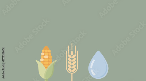 Corn, wheat grain, and water drop, essential ingredients for whiskey making, representing spirit origins, flat vector art with subtle palette, isolated on sage background with copy space.