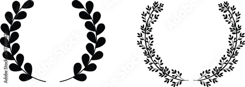 Comparison of leaf arrangements: compound versus compound pinnate leaves