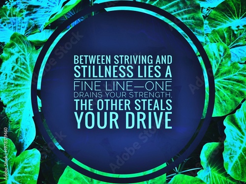 Fotografie "Between striving and stillness lies a fine line—one drains strength, the other steals drive, symbolizing balance and wisdom