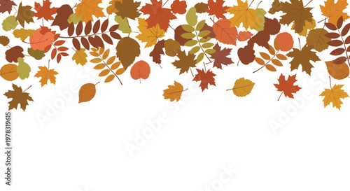 Autumn leaves border along the top edge featuring various colorful falling foliage shapes in orange red yellow and brown on white.