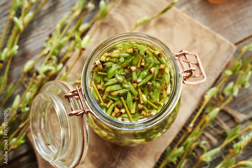 Preparation of gemmotherapeutic herbal tincture from young willow branches with buds harvested in early spring