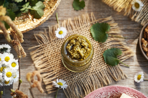 Pesto sauce made of young garlic mustard leaves - a wild edible plant harvested in early spring