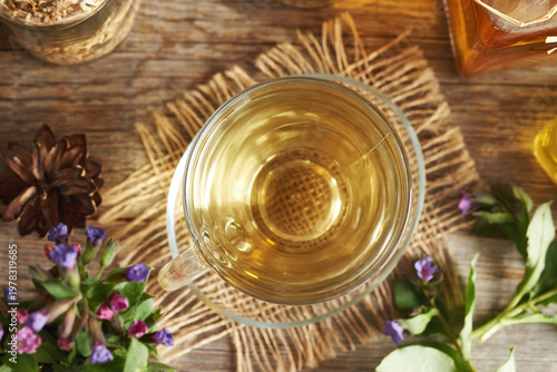 A cup of lungwort or pulmonaria tea with fresh flowers collected in early spring
