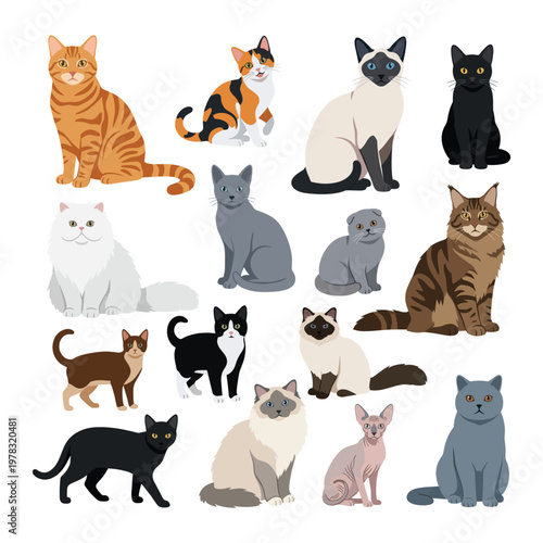 Cute Domestic Cat Breeds Collection Illustration Set