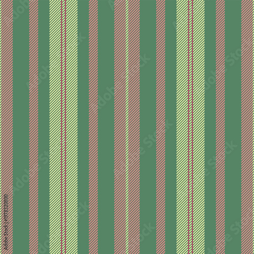 Pile seamless lines stripe, lovely vector fabric vertical. Furtain pattern texture textile background in green and tulip colors.