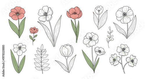 Artistic collection of hand drawn floral illustrations featuring various garden flowers and leaves in both colored and sketch styles for design.