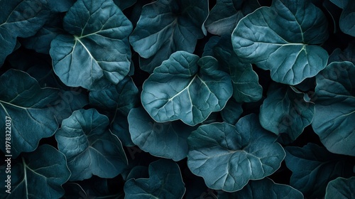 Vibrant and Lush Greenery Layout with Detailed Botanical Textures A Close-Up Top View Perspective