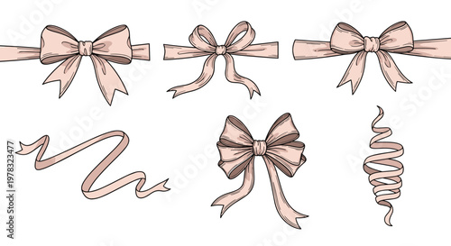 Beautiful collection of elegant pink ribbons and perfectly tied bows in various styles, ideal for gift wrapping and decorative design projects.