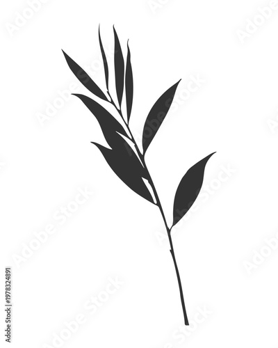 Organic minimalist willow branch silhouette. An elegant botanical ink print for Zen-inspired branding and contemporary interior design. Isolated black leafy branch on a white background. Vector