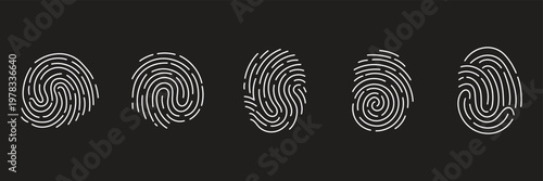 A unique black ink fingerprint vector illustration featuring a detailed thumbprint pattern for digital identity security and forensic criminal evidence identification design
