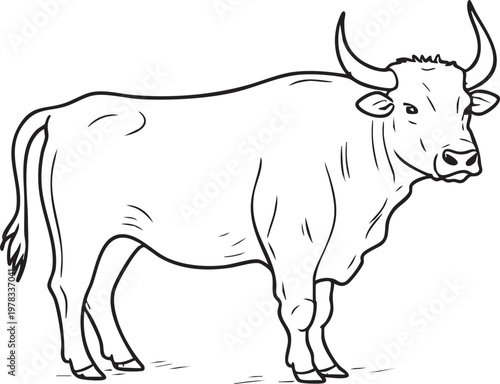 Illustration of standing bull outline on white background animal sketch farm cattle icon.