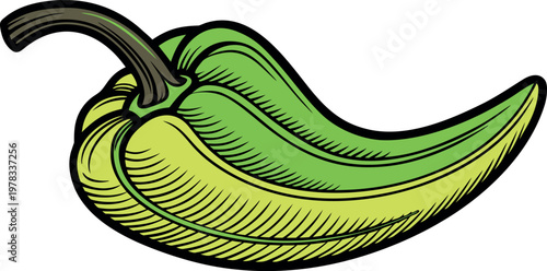 Vibrant green jalapeno pepper illustration for food and spice concepts