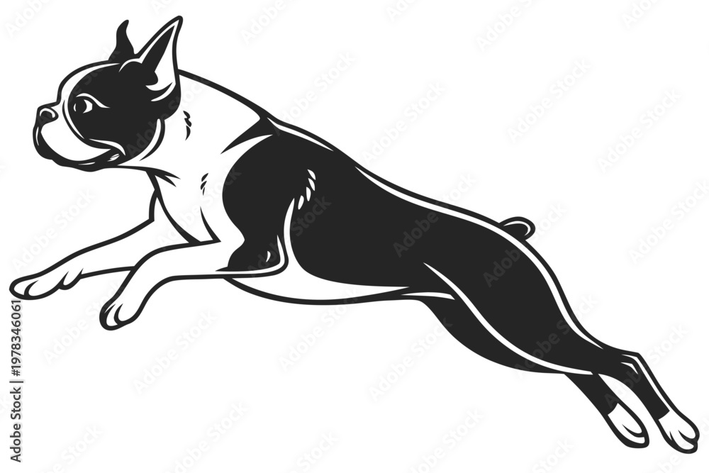 Fototapeta premium Jumping Boston Terrier Silhouette - Happy Leaping Dog Breed Vector Icon Isolated on White
