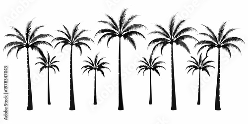 Silhouette of several palm trees against a stark white background
