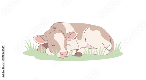 Cute Calf Sleeping Peacefully in Green Grass Field
