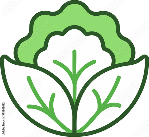 minimalist flat vector icon  of  lettuce  outline on white background 