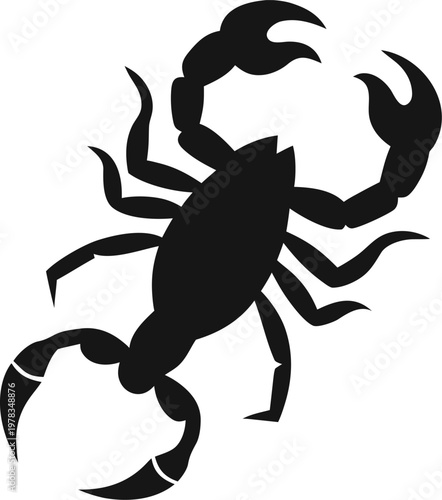 scorpion  silhouette  icon  vector on white  background 